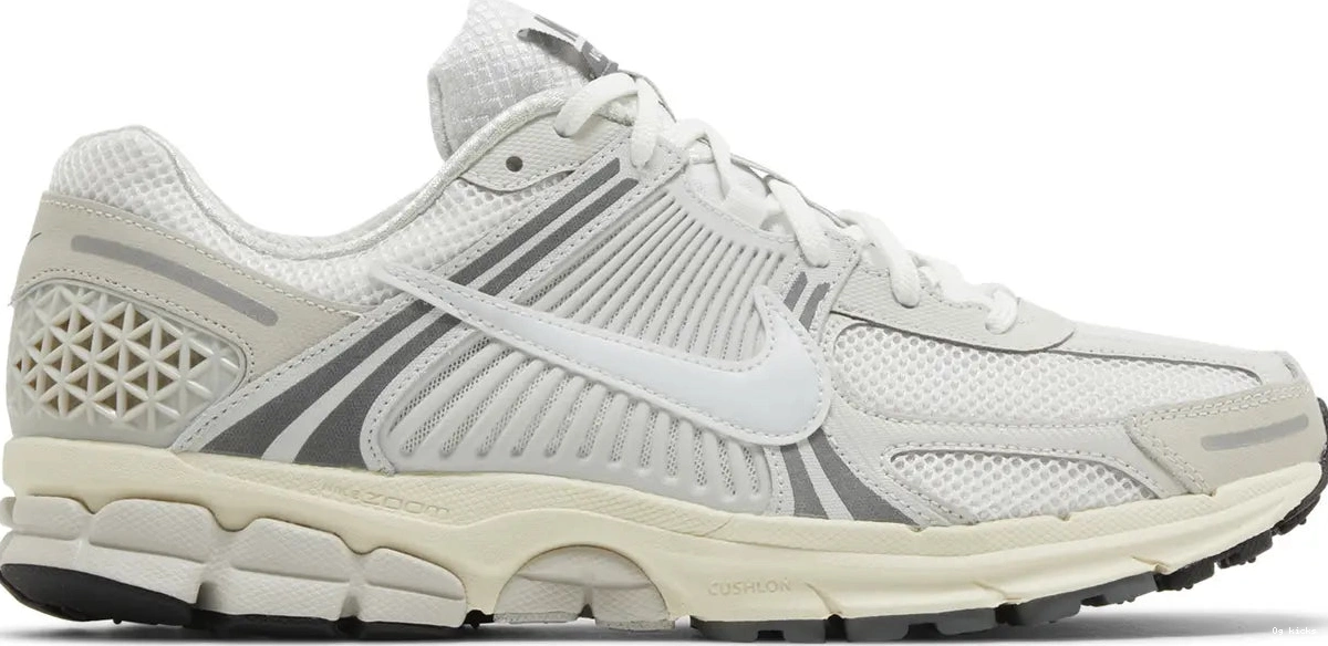 Vomero Tint Nike Platinum Zoom 5 0809